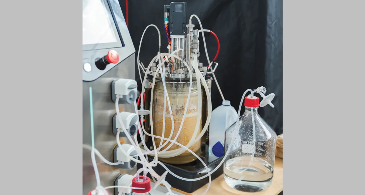 วีวอเลส ผลิตภัณฑ์